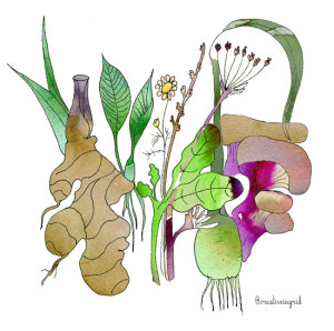  Ingrid Sanchez (ww.ingridsanchez.com)